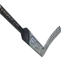 Vizion Goalie Schläger P1 Senior